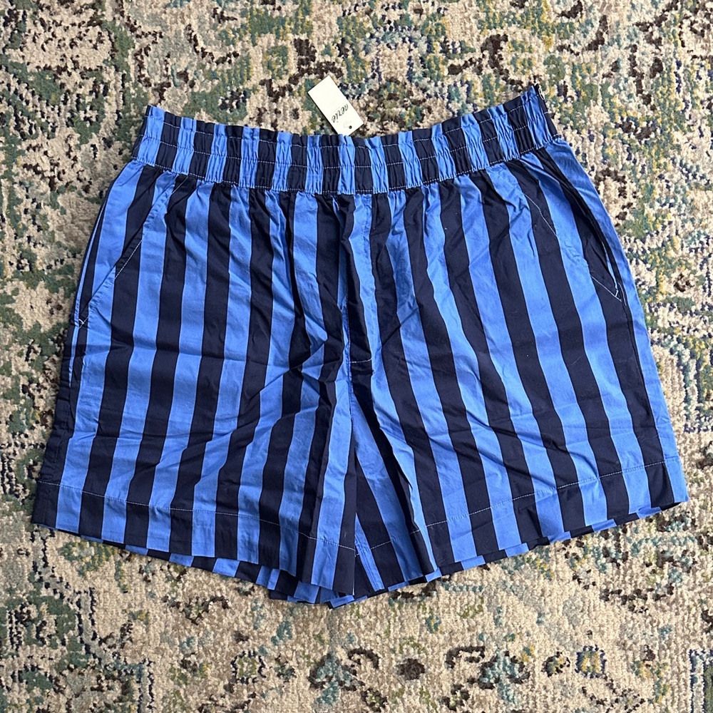 Aerie Blue and Black Striped Shorts